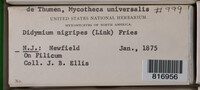 Image Associated With the Occurence
